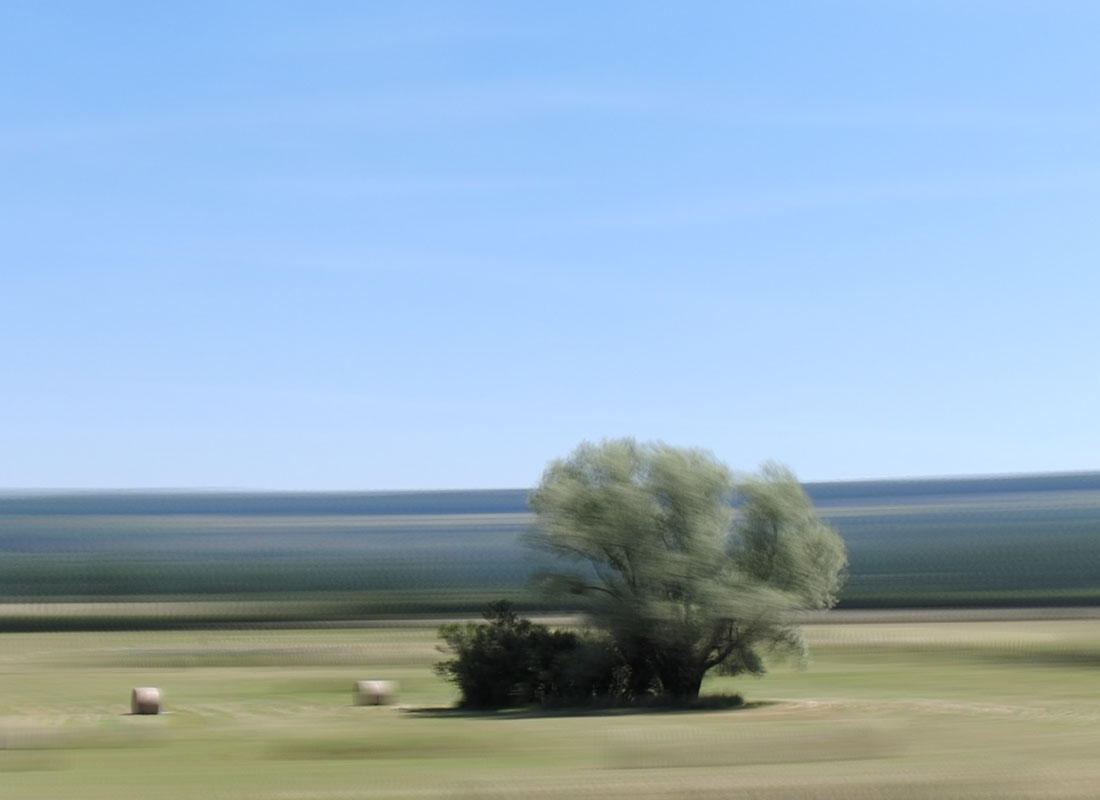 Alioscopy multi-view image