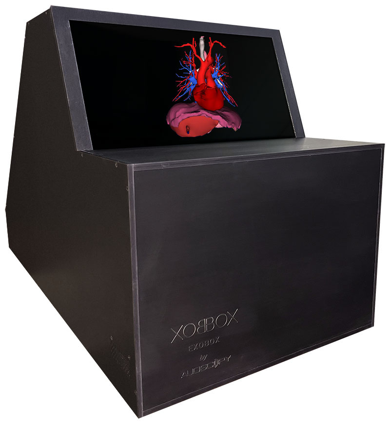 Alioscopy Digital Exobox